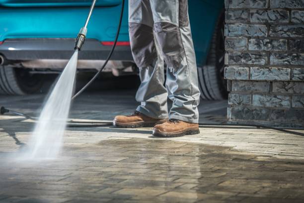 Best Gutter Cleaning and Brightening in Fannett, TX