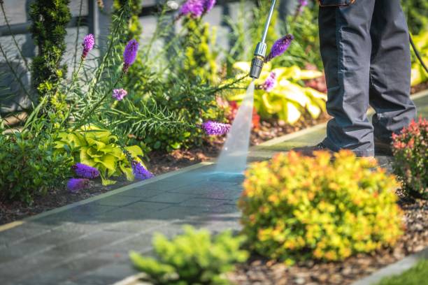 Best Parking Lot Cleaning in Fannett, TX
