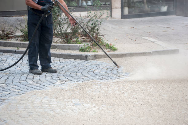 Best Fence Cleaning and Maintenance in Fannett, TX