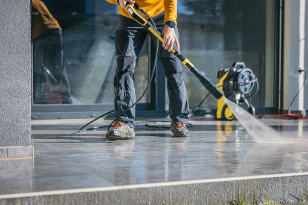 Best Roof Cleaning and Mildew Removal in Fannett, TX